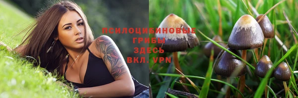 первитин Абдулино