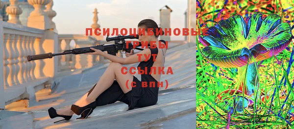 spice Абаза