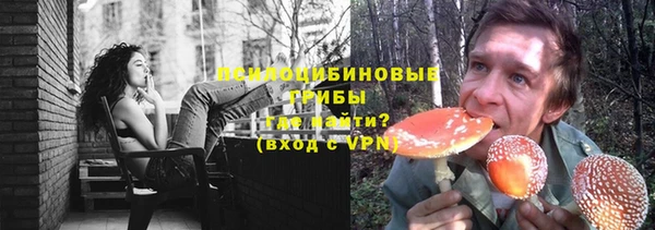 spice Абаза