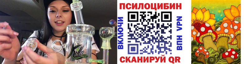 Псилоцибиновые грибы Cubensis  Сясьстрой 