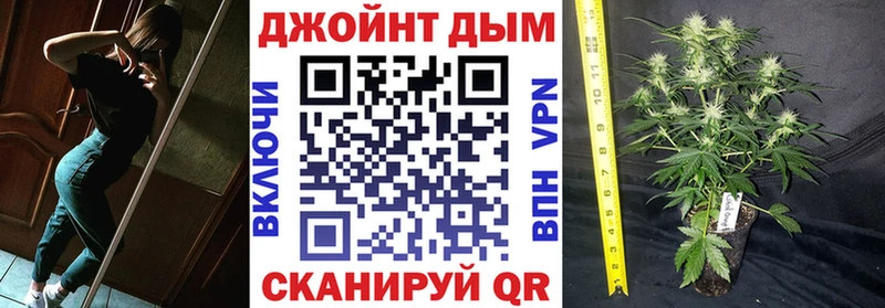 mega tor  Сясьстрой  Каннабис конопля 